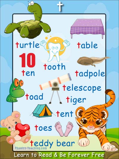 t Words Phonics Poster - Free & Printable - Ideal for Phonics Practice