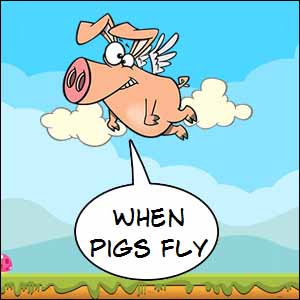 What Does 'pigs might fly' mean?